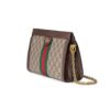 12562563_11923782_1000.jpg Gucci Ophidia GG small shoulder bag