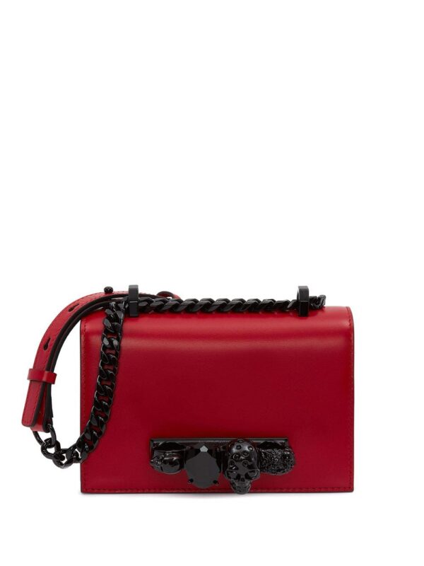 16277735_31862866_1000.jpg Alexander McQueen Four Ring mini bag