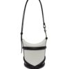 16277903_31862998_1000.jpg Alexander McQueen The Curve bucket bag