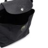 17552876_37062161_1000.jpg Longchamp Le Pliage backpack