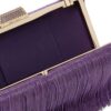 19994139_51847420_1000.jpg Jimmy Choo Clemmie fringed clutch bag