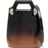 20899821_51019125_1000.jpg Ferragamo Wanda ombré-effect leather bag