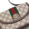22074166_53217977_1000.jpg Gucci Ophidia GG mini bag