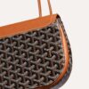 233SH2PMLTY01CL03O_5_detail_572d.jpg Goyard 233 bag