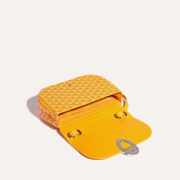 233SH2PMLTY08CL08P_3_ouvert_90f9.jpg Goyard 233 bag