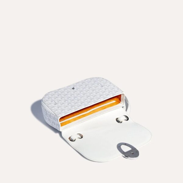 233SH2PMLTY50CL50P_3_ouvert_84f1.jpg Goyard 233 bag