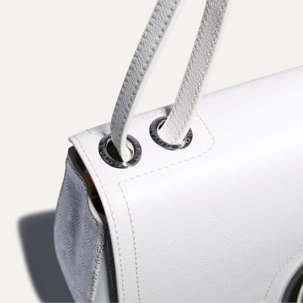 233SH2PMLTY50CL50P_4_detail_90ff.jpg Goyard 233 bag