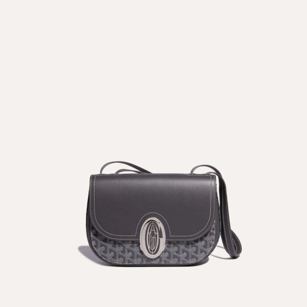 233SH2PMLTY51CL51P_2_face_2777.jpg Goyard 233 bag