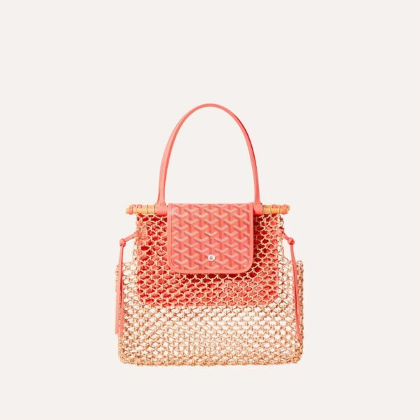 Goyard Aligre bag