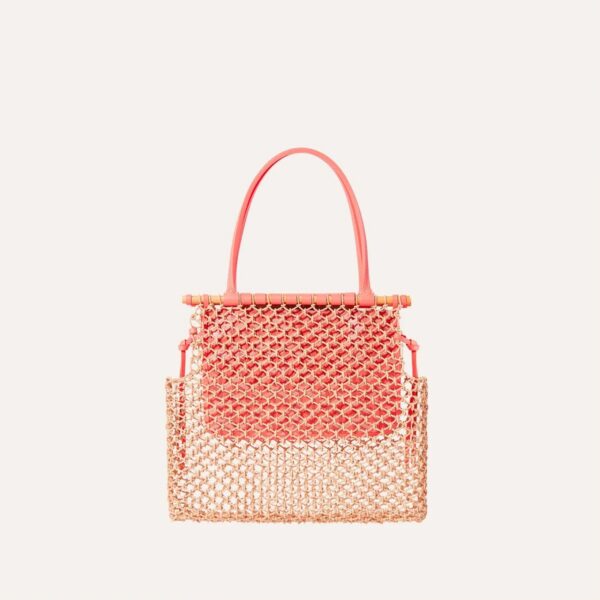 Goyard Aligre bag