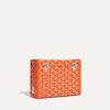 CASSETPMLTY07CL07P_3_dos_68b0.jpg Goyard Cassette Trunk Bag