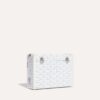 Goyard Cassette Trunk Bag