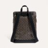 CISALPMMLTY01CL01P_3_dos_0594.jpg Goyard Cisalpin Backpack