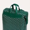 CISALPMMLTY09CL09P_4_detail_d258.jpg Goyard Cisalpin Backpack