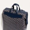 CISALPMMLTY12CL12P_4_detail_2a99.jpg Goyard Cisalpin Backpack