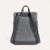 CISALPMMLTY51CL51P_3_dos_1877.jpg Goyard Cisalpin Backpack