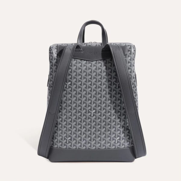CISALPMMLTY51CL51P_3_dos_1877.jpg Goyard Cisalpin Backpack