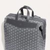 CISALPMMLTY51CL51P_4_detail_d783.jpg Goyard Cisalpin Backpack