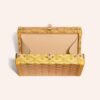 Goyard Minaudière Trunk Bag