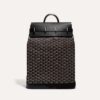 STEAM2PMLTY01CL01P_2_face_1857.jpg Goyard Steamer PM Bag