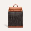 Goyard Steamer PM Bag