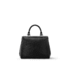 Louis Vuitton Cluny Mini