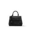 Louis Vuitton Cluny Mini