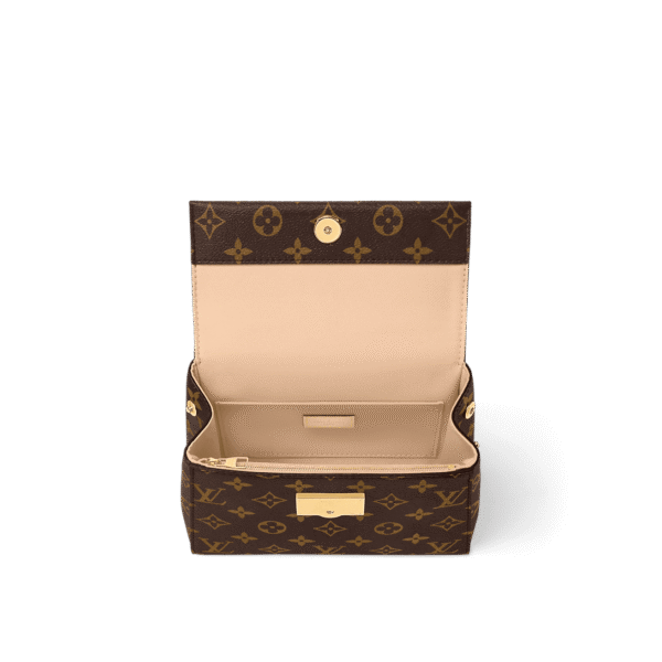 Louis Vuitton Cluny Mini