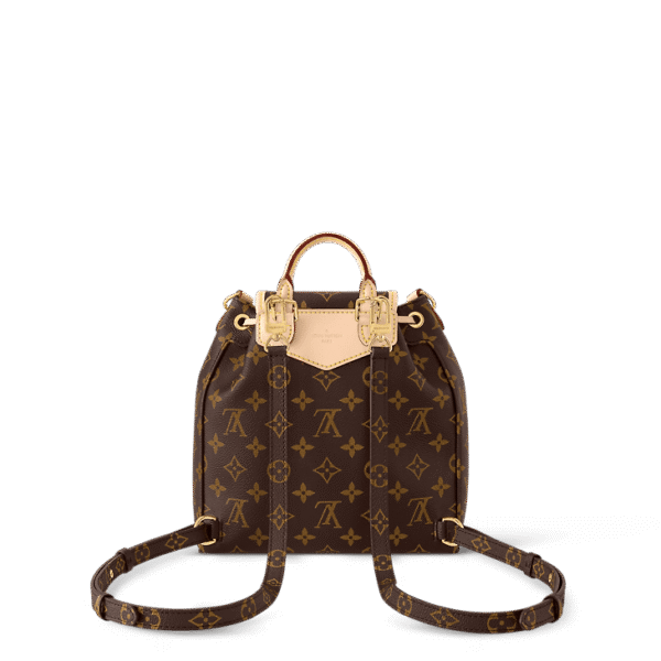 louis-vuitton-excursion-pm-monogram-handbags-M46932_PM1_Backview.png Louis Vuitton Excursion PM