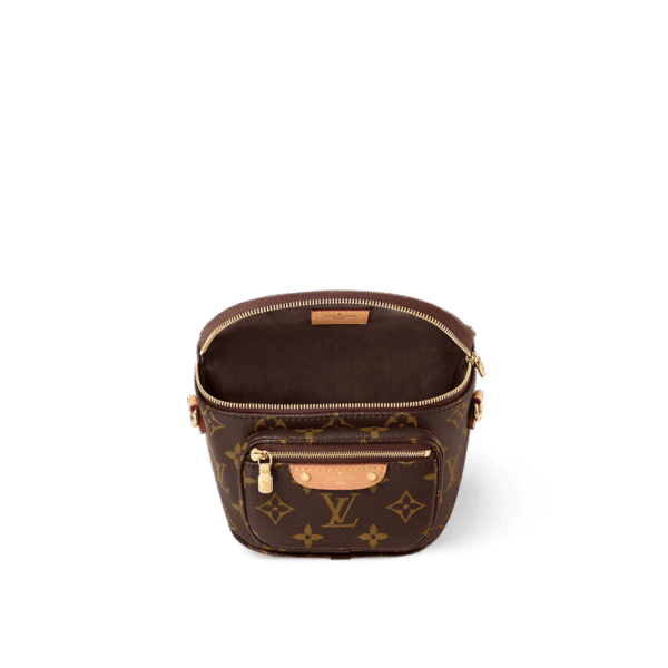 louis-vuitton-mini-bumbag-monogram-handbags-M82335_PM1_Interiorview.png Louis Vuitton Mini Bumbag
