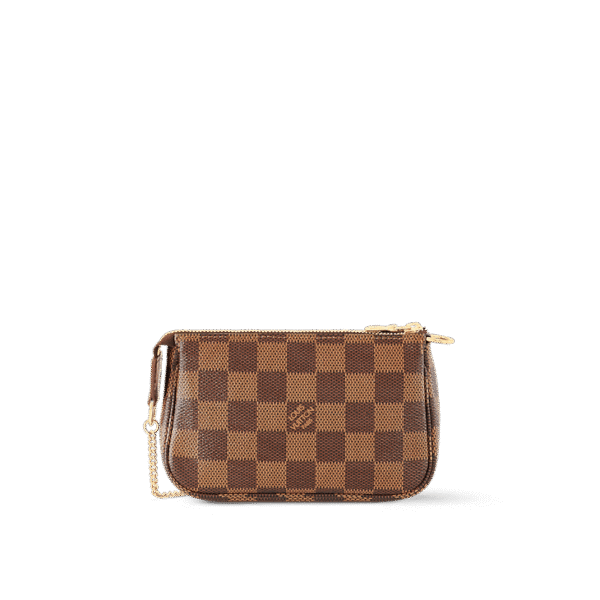 louis-vuitton-mini-pochette-accessoires-damier-ebene-canvas-wallets-and-small-leather-goods-N58009_PM1_Backview.png Louis Vuitton Mini Pochette Accessoires