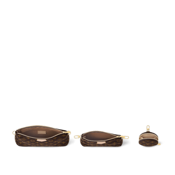 Louis Vuitton Multi Pochette Accessoires