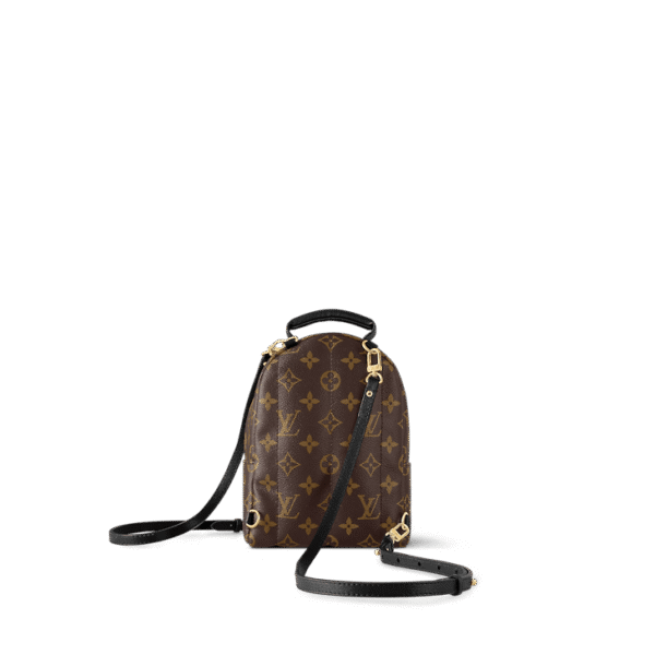 louis-vuitton-palm-springs-mini-monogram-handbags-M44873_PM1_Backview_1.png Louis Vuitton Palm Springs MM