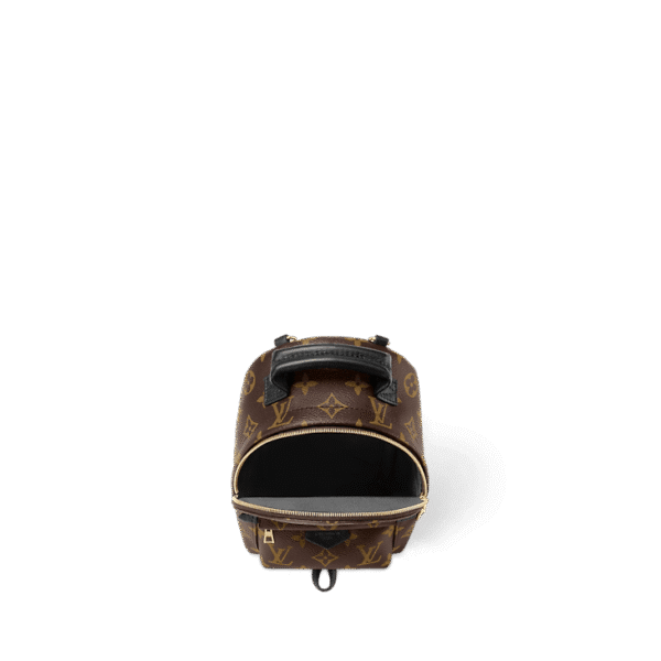 louis-vuitton-palm-springs-mini-monogram-handbags-M44873_PM1_Interiorview_1.png Louis Vuitton Palm Springs MM