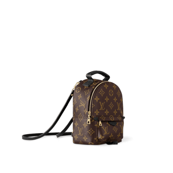 louis-vuitton-palm-springs-mini-monogram-handbags-M44873_PM1_Sideview_1.png Louis Vuitton Palm Springs MM