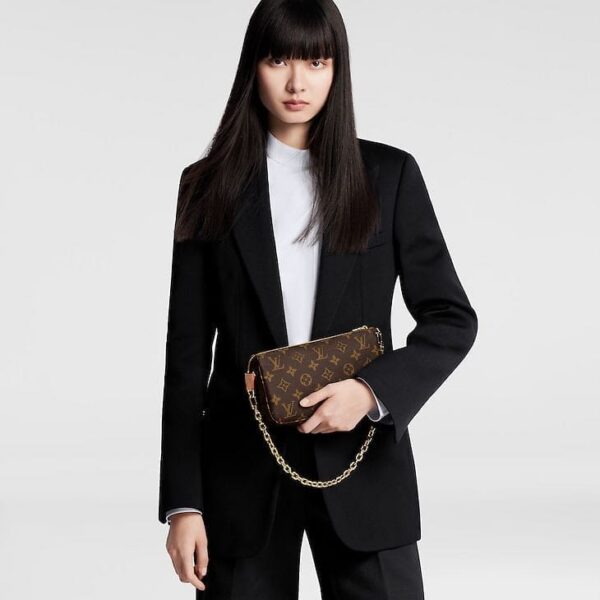 louis-vuitton-pochette-accessoires-monogram-wallets-and-small-leather-goods-M82766_PM1_Wornview.jpg Louis Vuitton Pochette Accessoires