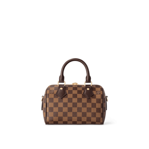 louis-vuitton-speedy-bandouliere-20-damier-ebene-handbags-N40489_PM1_Backview.png Louis Vuitton Speedy Bandoulière 20