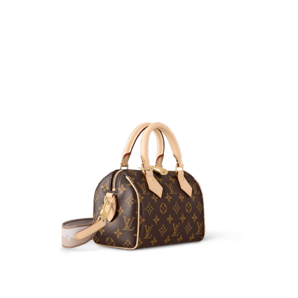 Louis Vuitton Speedy Bandoliered 20