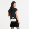 10270HFK037_1.png Longchamp Daylong S Handbag