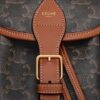 117902CAS-04LU_4_SS24_P2_W.jpg CELINE MEDIUM BACKPACK FOLCO in Triomphe Canvas and calfskin