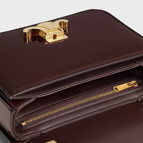118053FYE-19DK_4_FW24_P1_W.jpg CELINE TEEN GARANCE bag in PATENT CALFSKIN