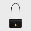 118053FYE-38NO_1_FW24_P1_W.jpg CELINE TEEN GARANCE bag in PATENT CALFSKIN