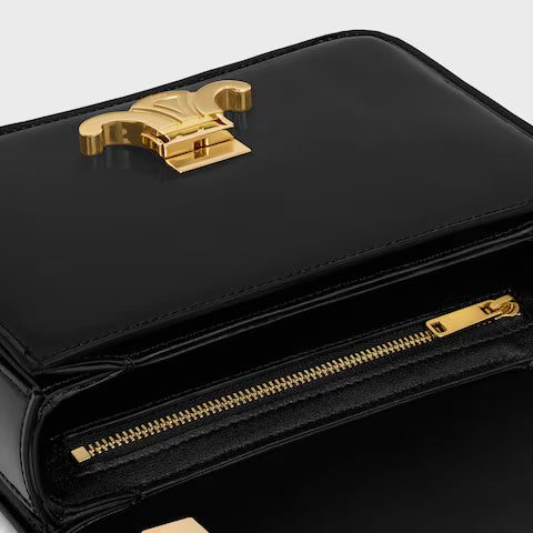 118053FYE-38NO_4_FW24_P1_W.jpg CELINE TEEN GARANCE bag in PATENT CALFSKIN