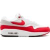 Nike Air Max 1 Anniversary