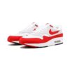 Nike Air Max 1 Anniversary