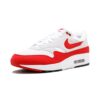 Nike Air Max 1 Anniversary