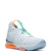 Nike  Lebron 17 LMTD sneakers