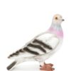 18382592_43783524_1000_17b44e84-7adb-4f12-9512-51c4356426b9.jpg JW Anderson pigeon clutch bag