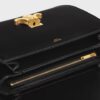 CELINE CLASSIQUE TRIOMPHE BAG IN shiny calfskin