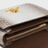187364FPN-02VG_4_SS24_P2_W.jpg CELINE CLASSIQUE TRIOMPHE BAG in Niloticus Crocodile